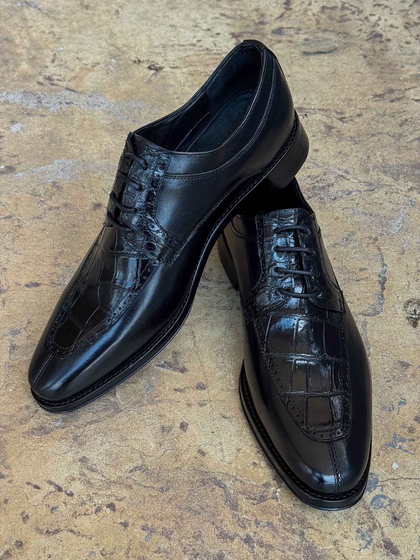 ITALIA W/COCODRILO BLACK