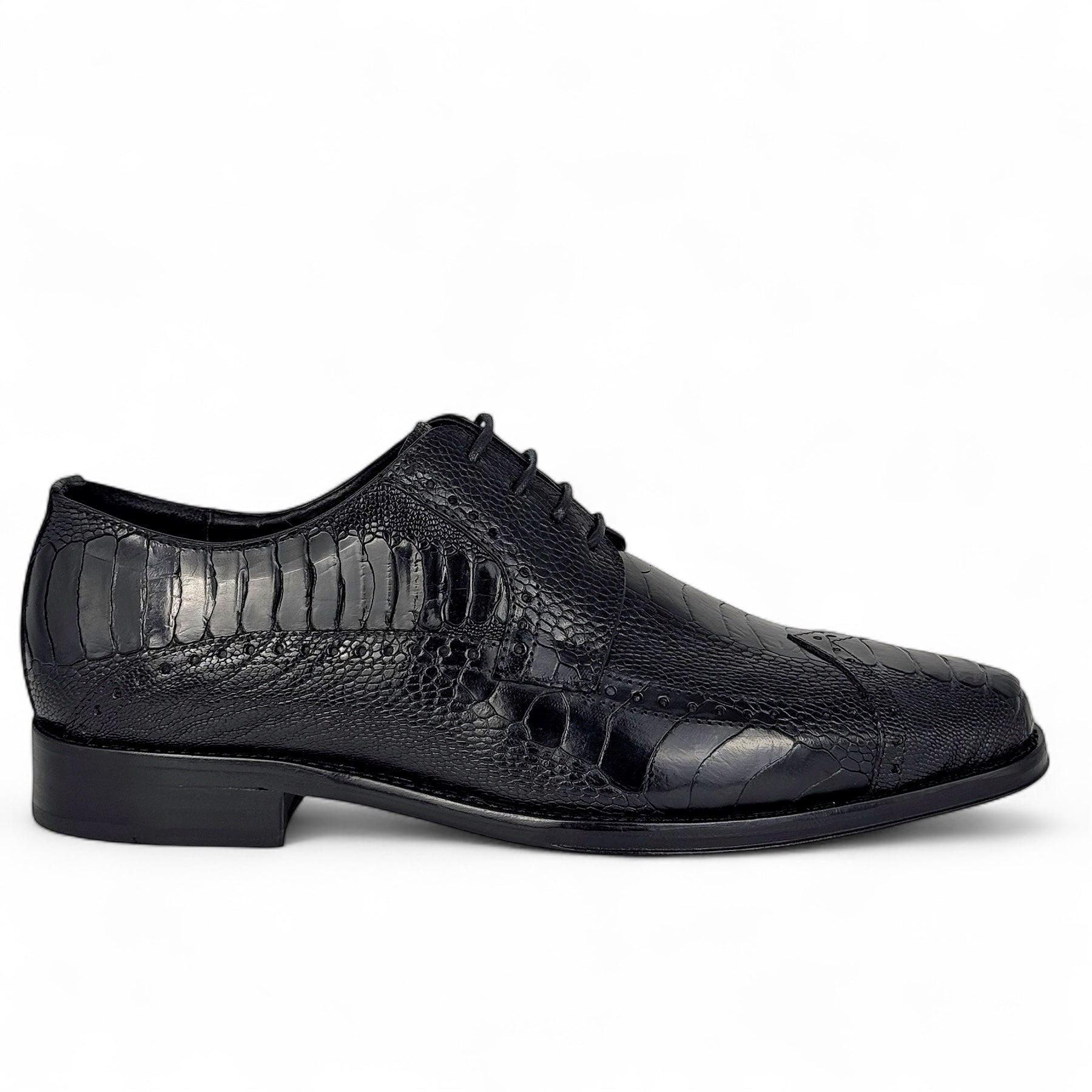 NIGERIA PATA DE AVESTRUZ BLACK