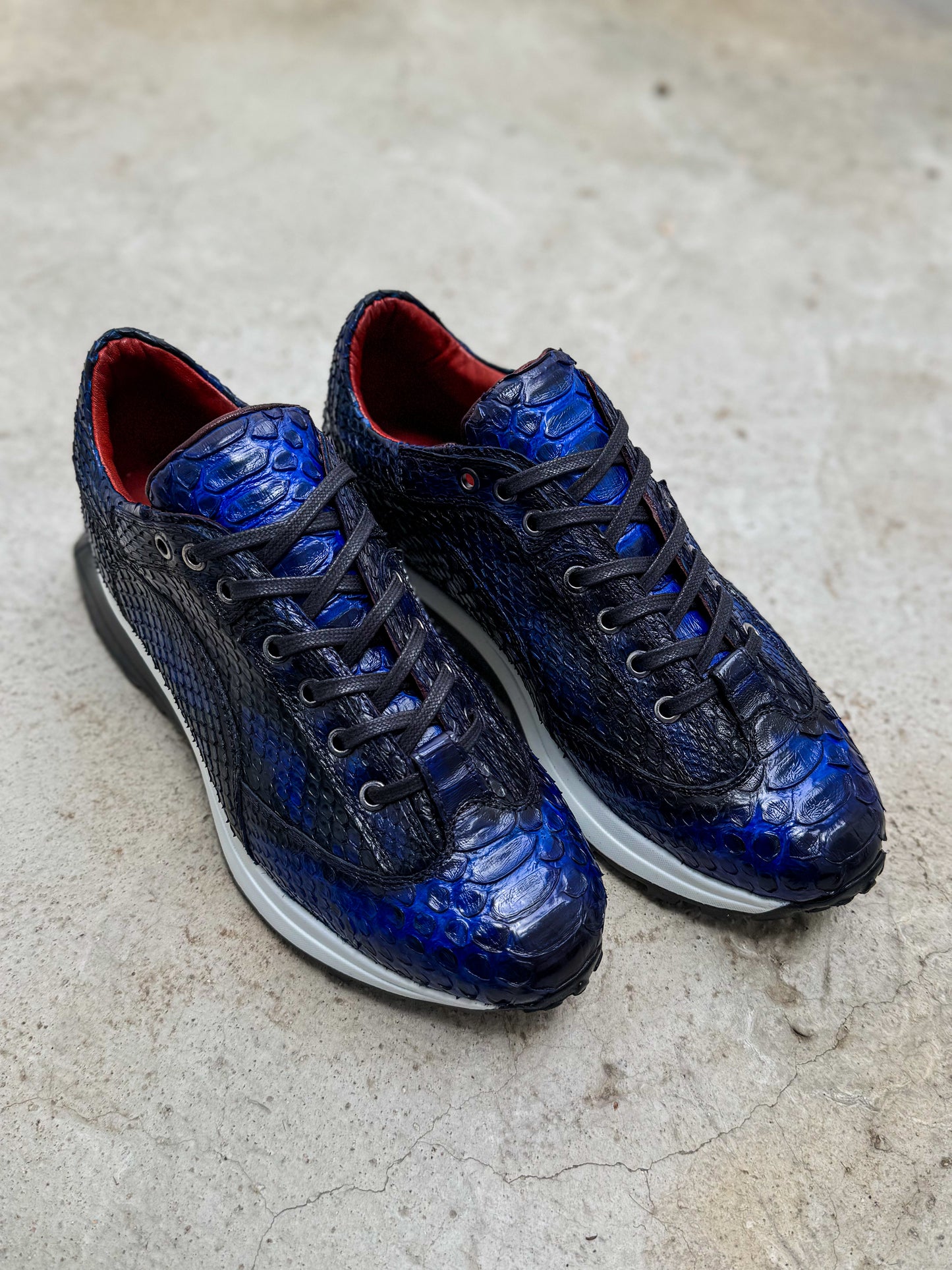 MIAMI PITON BLUE