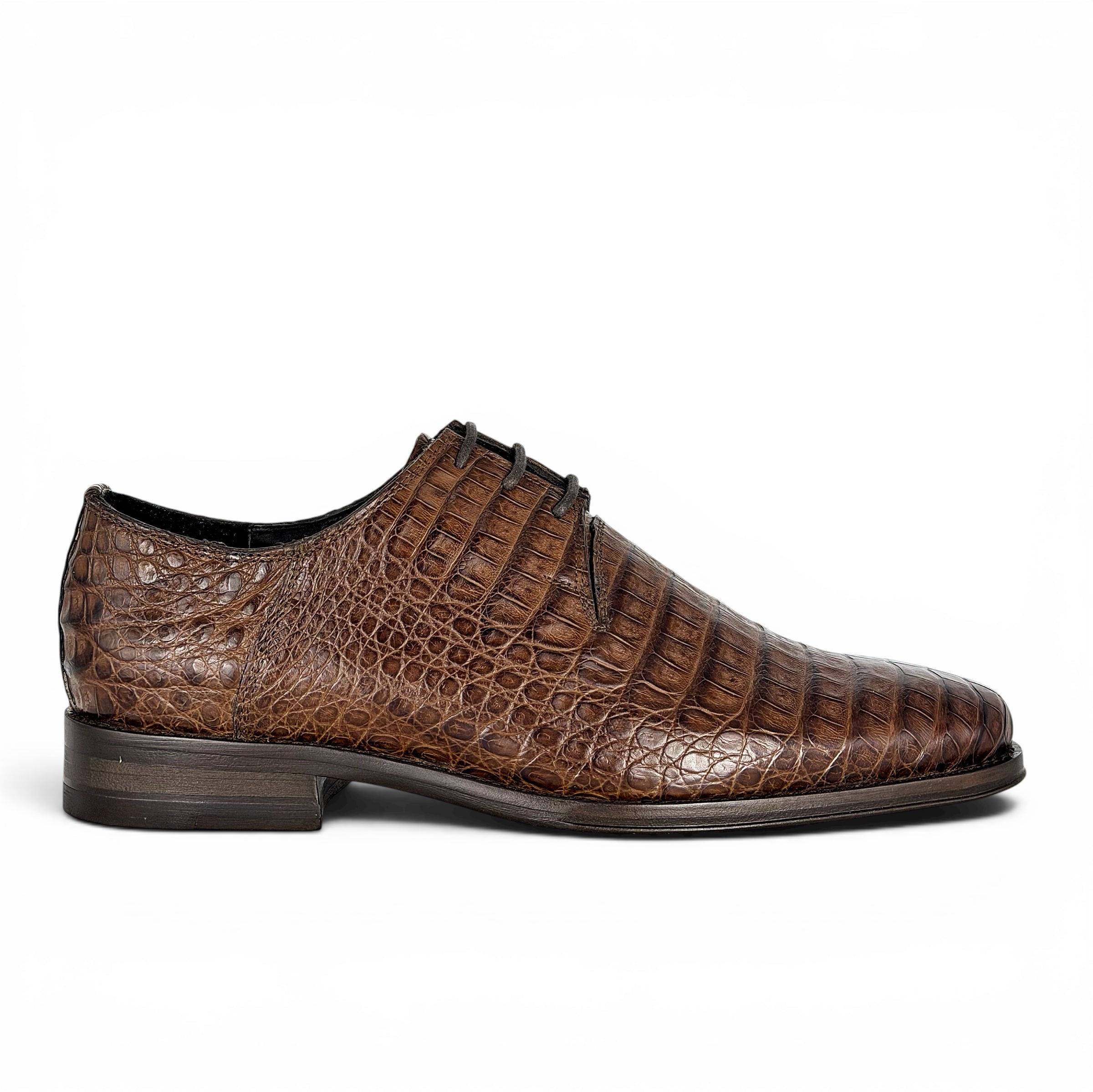 NORUEGA COCODRILO BROWN
