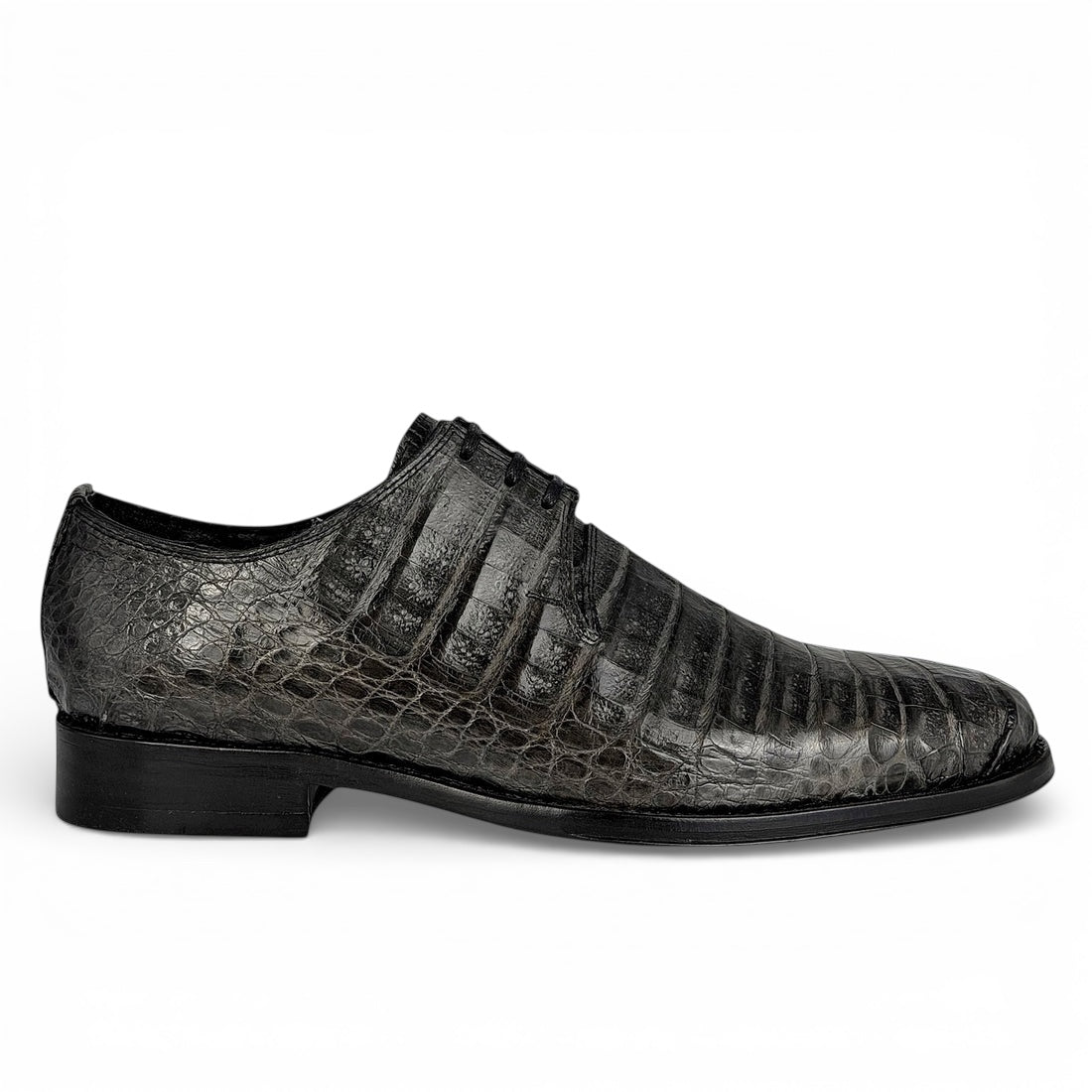 NORUEGA COCODRILO GREY