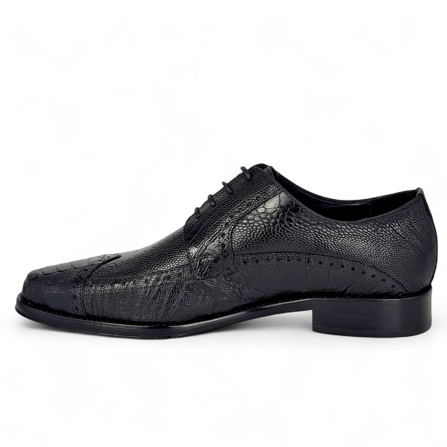 NIGERIA PATA DE AVESTRUZ BLACK