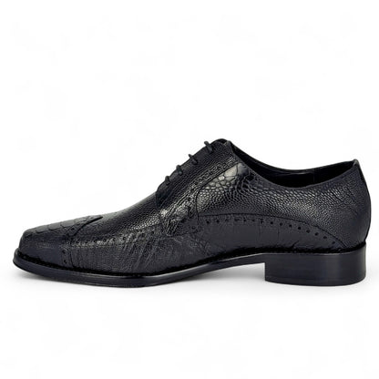 NIGERIA PATA DE AVESTRUZ BLACK