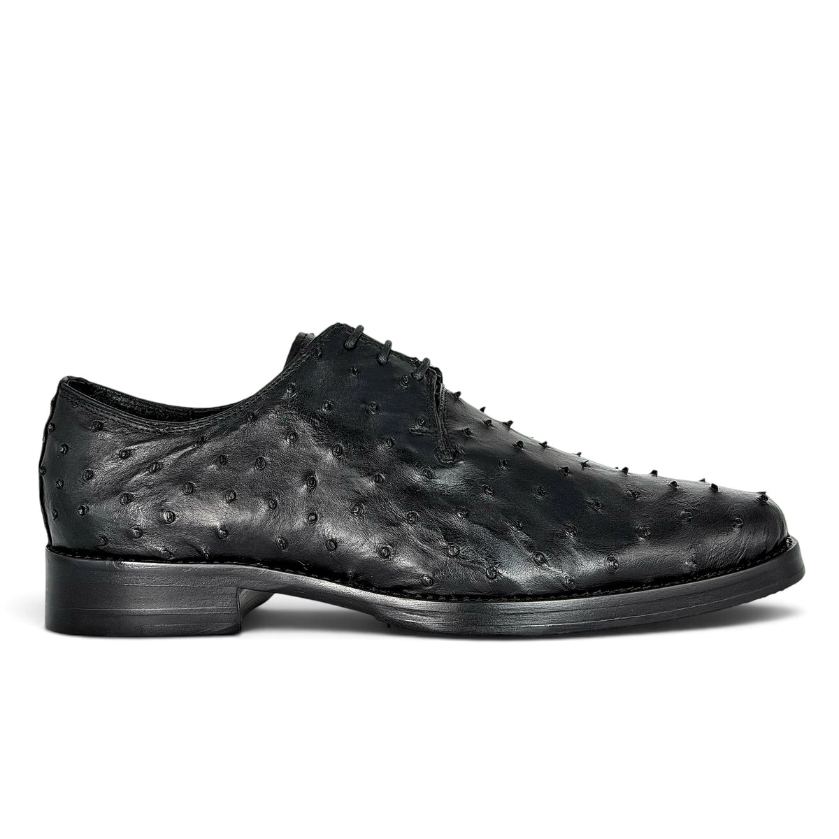 NORUEGA AVESTRUZ BLACK