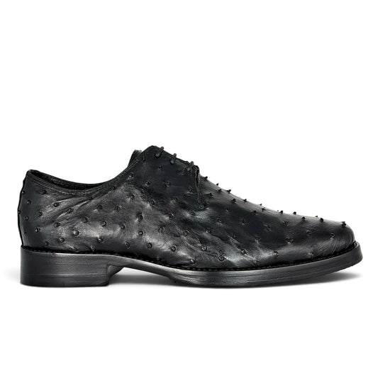 NORUEGA AVESTRUZ BLACK