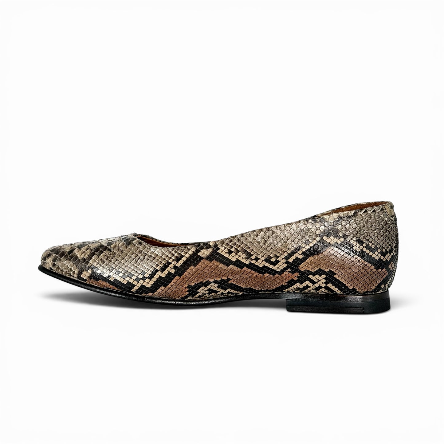 VALERINA PYTHON BELLY