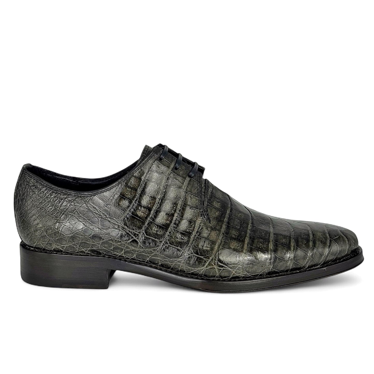 NORUEGA COCODRILO GREY