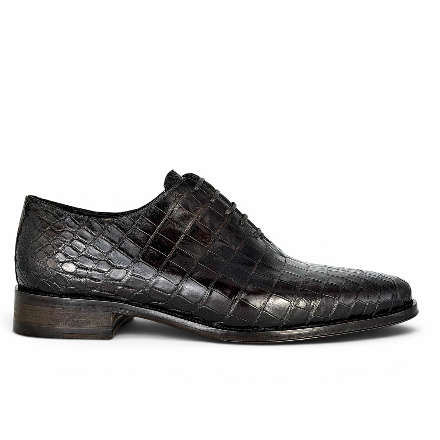MÓNACO COCODRILO DARK BROWN