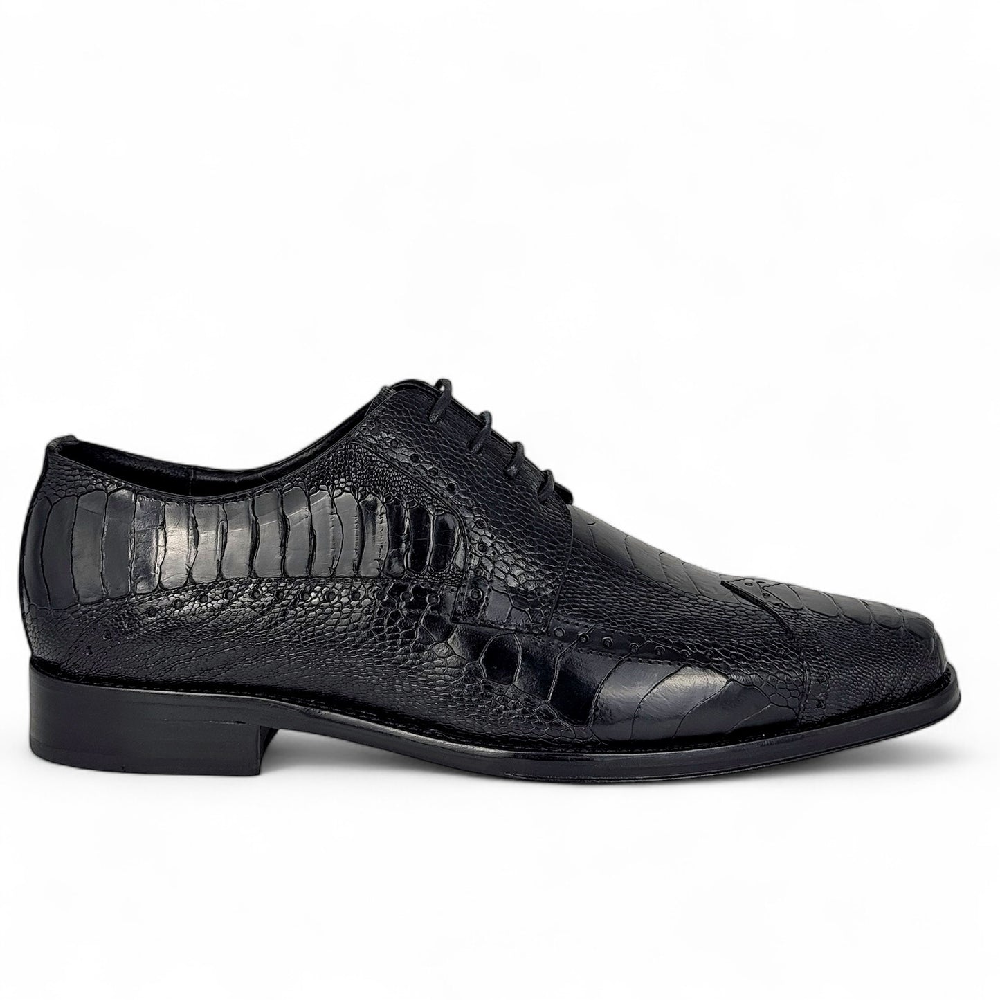 NIGERIA PATA DE AVESTRUZ BLACK