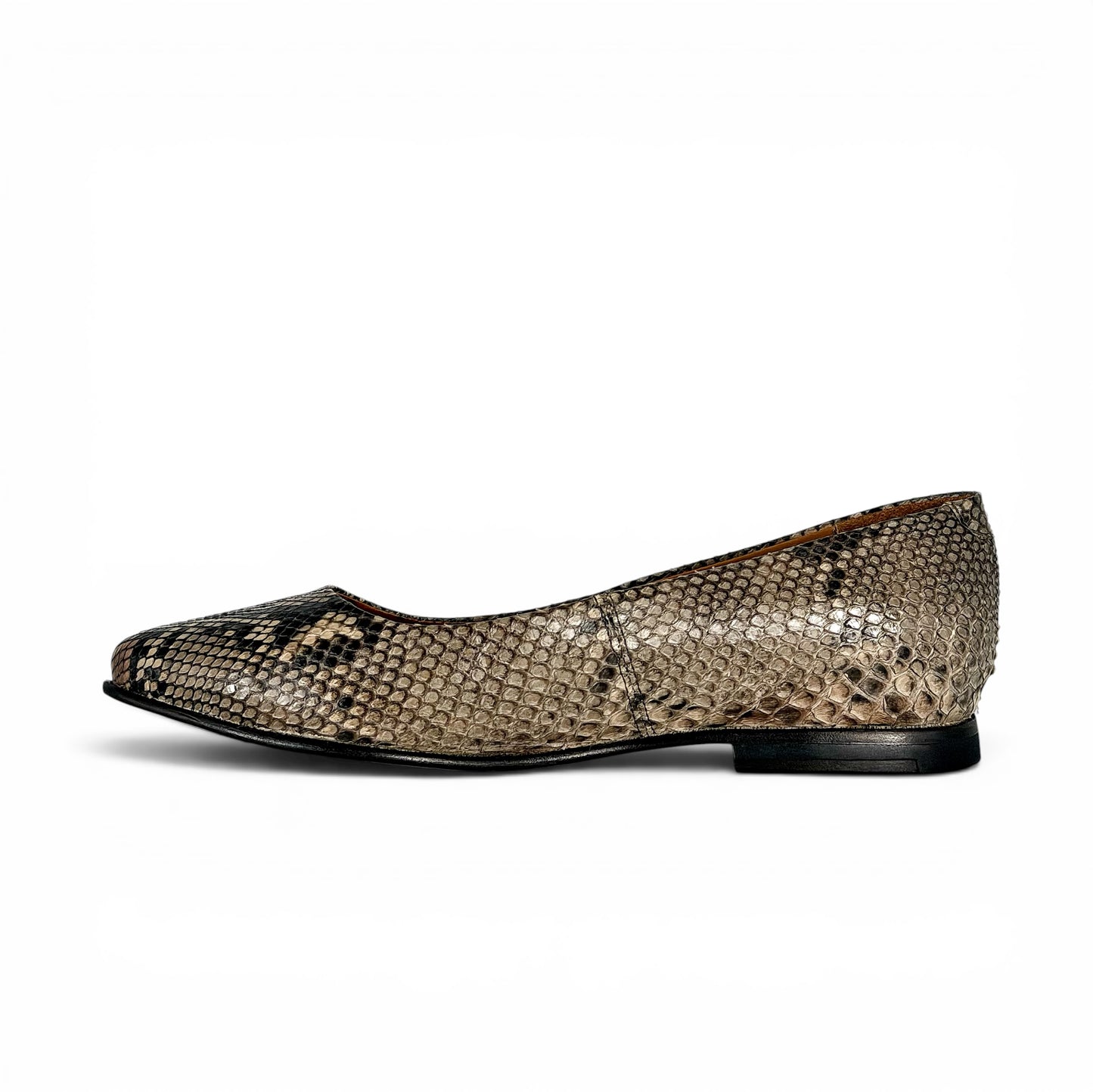 VALERINA PYTHON BELLY