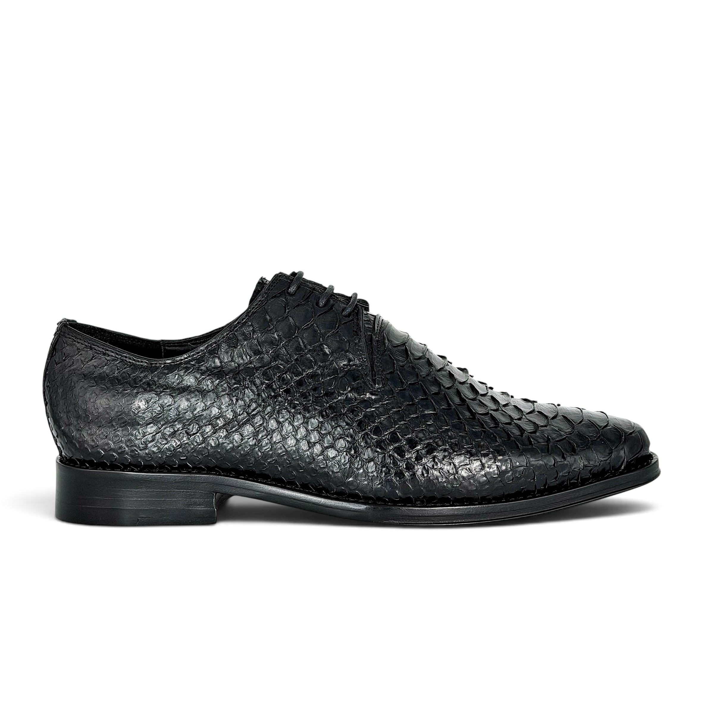 NORUEGA PYTHON BLACK