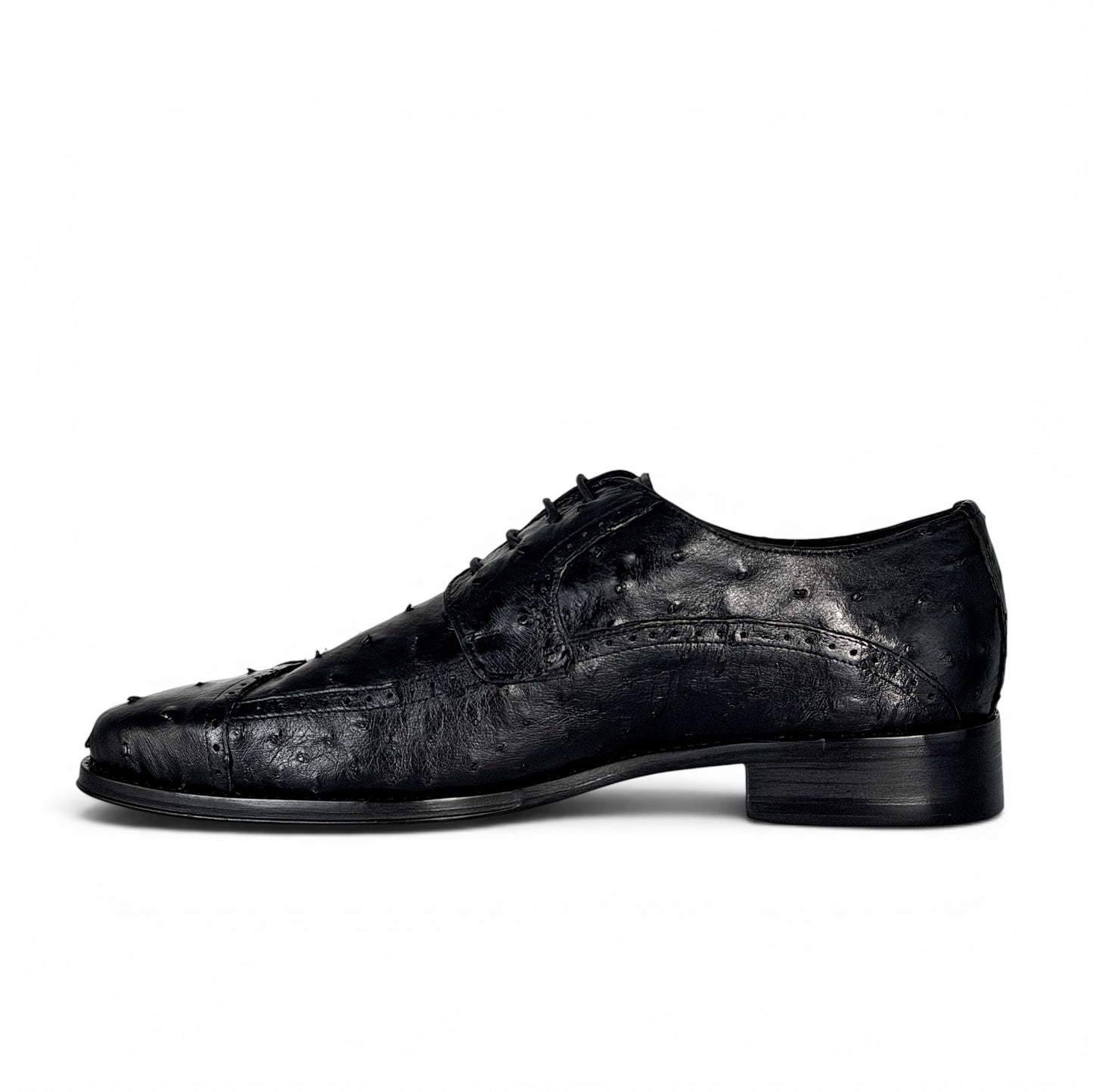 NIGERIA AVESTRUZ BLACK