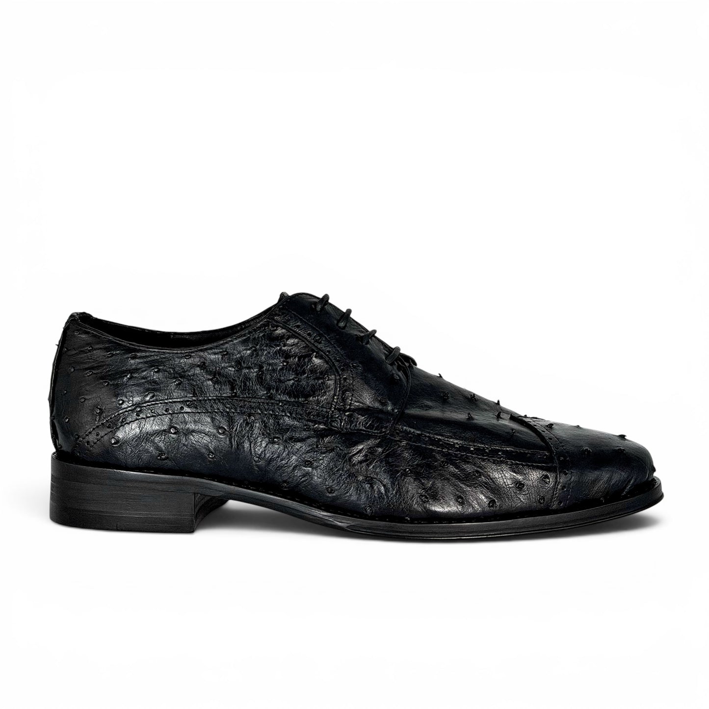 NIGERIA AVESTRUZ BLACK